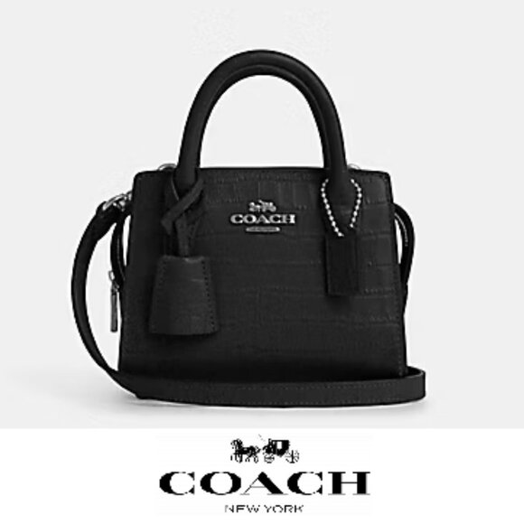 🥰 Coach Andrea Mini Carryall Bag
